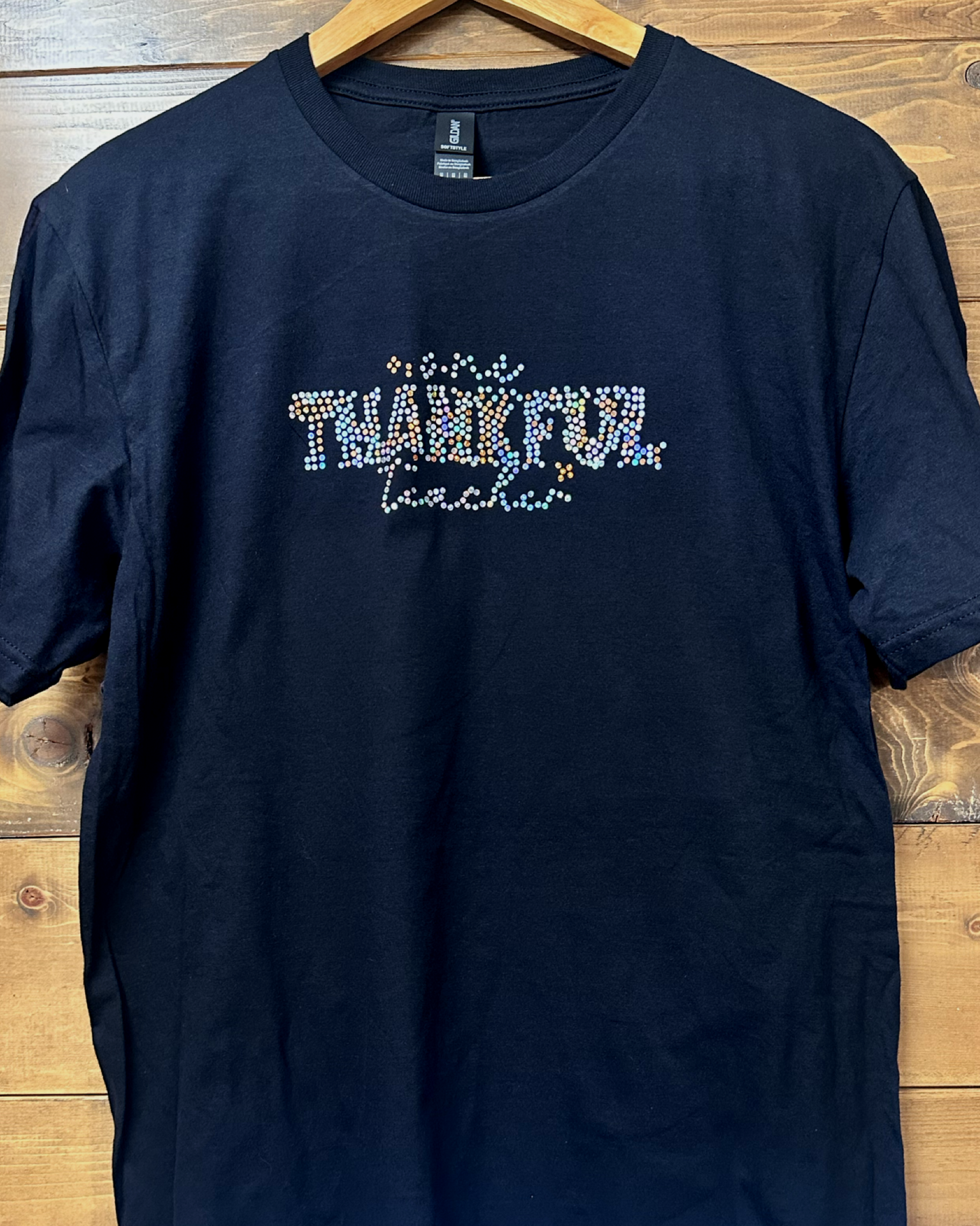 One Thankful Teacher T-Shirt